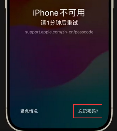 睢阳苹果手机密码维修分享iPhone忘记了刚设置的密码 